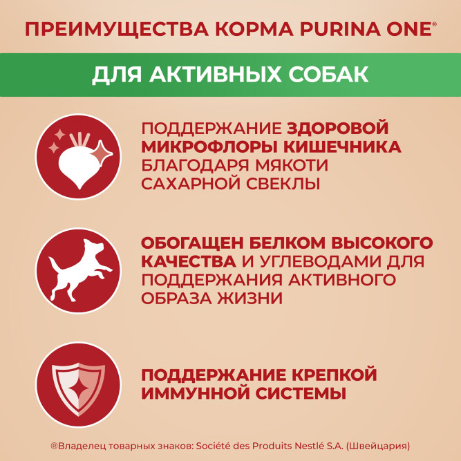 Purina One Мини сухой корм для активных взрослых собак мелких пород, с высоким содержанием курицы и рисом - 7 кг