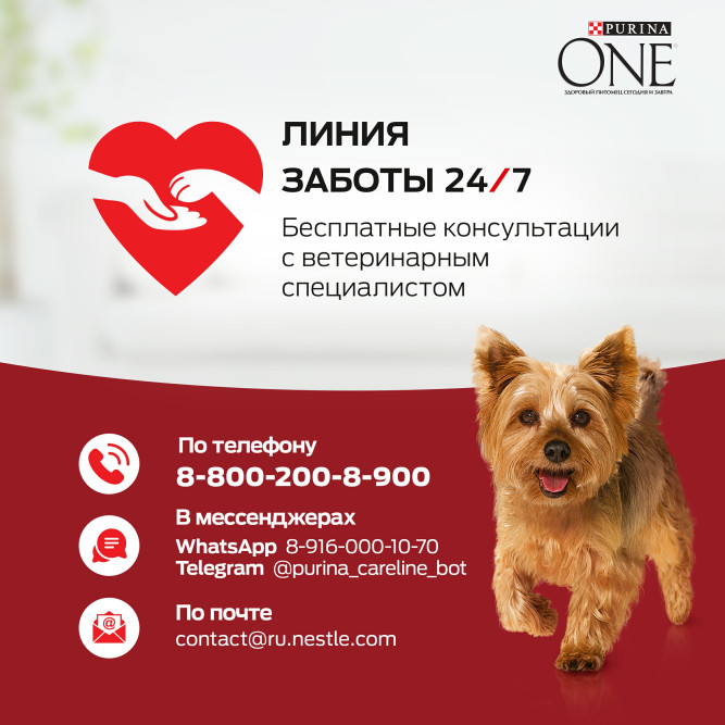 Purina One Мини сухой корм для активных взрослых собак мелких пород, с высоким содержанием курицы и рисом - 7 кг