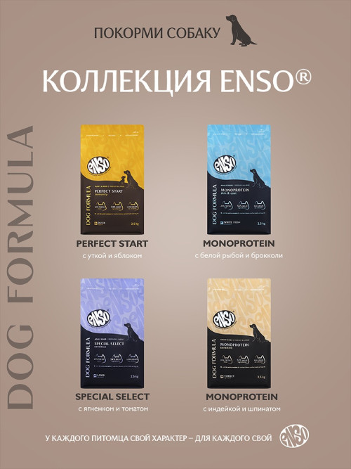 ENSO Dog Formula Monoprotein сухой корм для взрослых собак средних и крупных пород со свежей индейкой и добавлением шпината - 2,5 кг