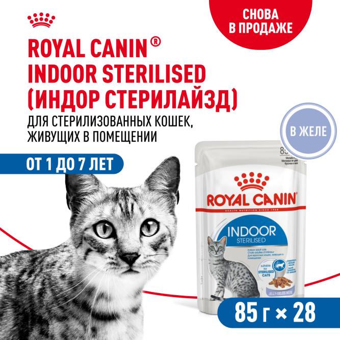 Royal Canin Indoor Sterilised влажный корм для взрослых стерилизованных кошек, живущих в помещении, кусочки в желе, в паучах - 85 г х 28 шт