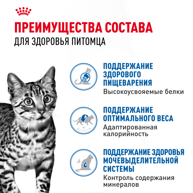 Royal Canin Indoor Sterilised влажный корм для взрослых стерилизованных кошек, живущих в помещении, кусочки в желе, в паучах - 85 г х 28 шт