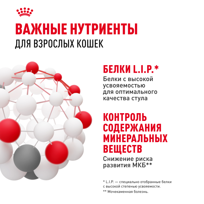 Royal Canin Indoor Sterilised влажный корм для взрослых стерилизованных кошек, живущих в помещении, кусочки в желе, в паучах - 85 г х 28 шт