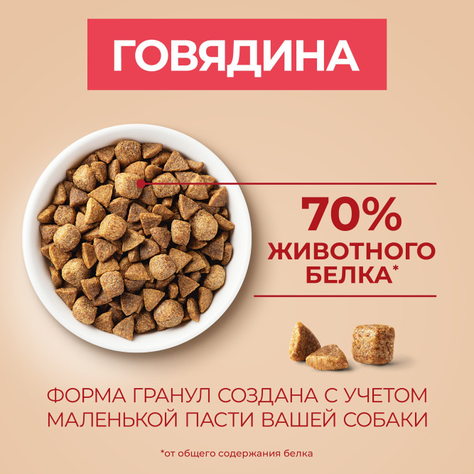 Purina One Мини сухой корм для взрослых собак мелких пород, с высоким содержанием говядины и рисом - 7 кг