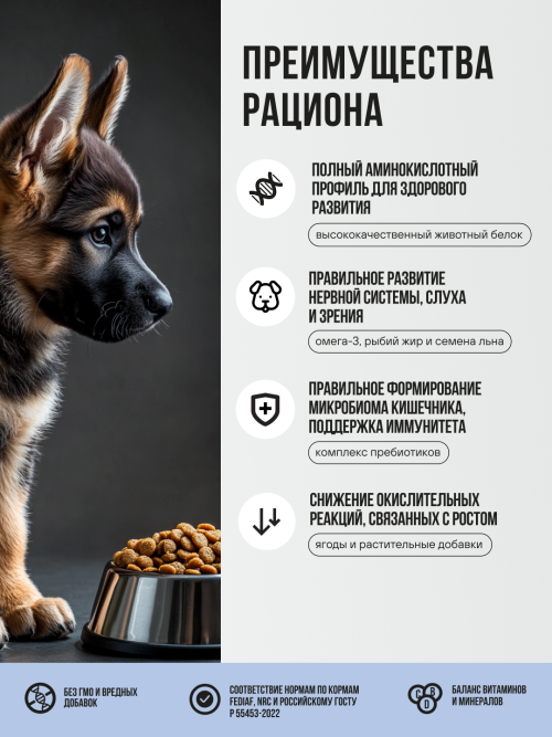 BOWL WOW сухой полнорационный корм для щенков крупных пород с индейкой, ягненком, рисом и добавлением черники - 2 кг