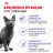 Royal Canin Sterilised 37 сухой корм для взрослых стерилизованных кошек - 10 кг