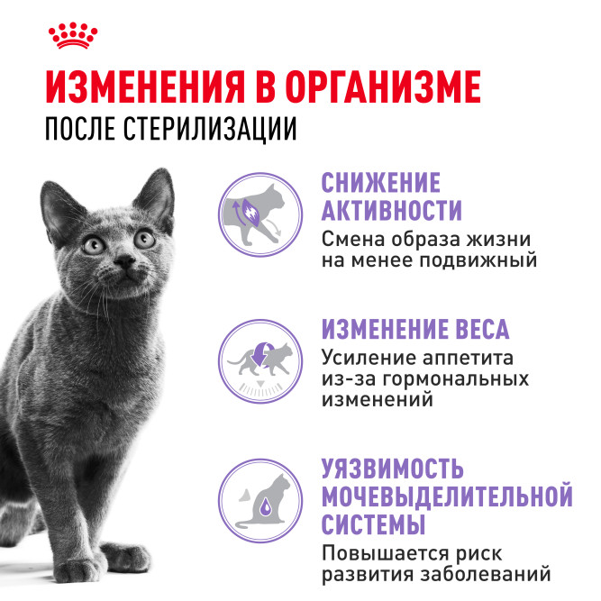 Royal Canin Sterilised 37 сухой корм для взрослых стерилизованных кошек - 10 кг
