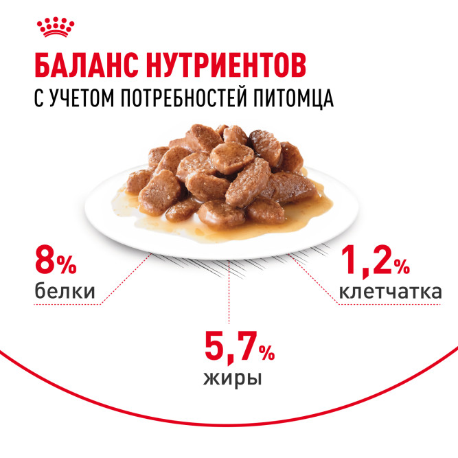 Royal Canin Mini Aging 12+ влажный корм для пожилых собак мелких пород старше 12 лет, кусочки в соусе, в паучах - 85 г х 28 шт