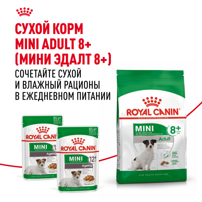 Royal Canin Mini Aging 12+ влажный корм для пожилых собак мелких пород старше 12 лет, кусочки в соусе, в паучах - 85 г х 28 шт