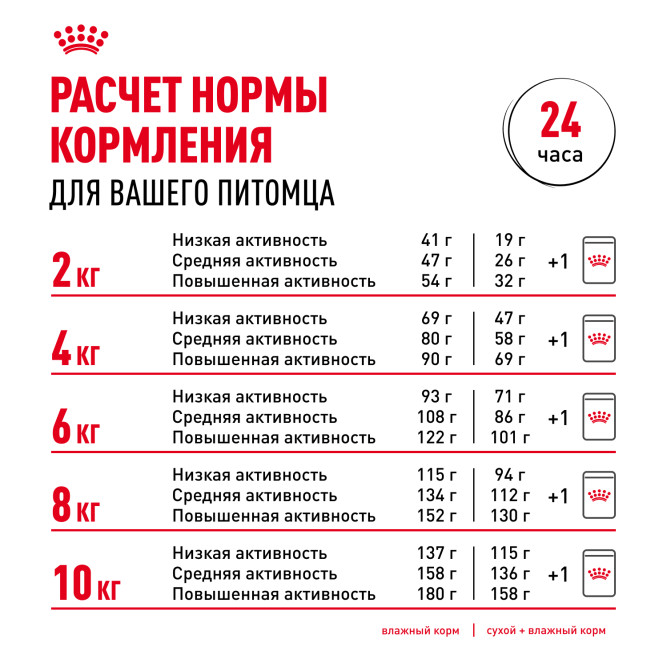 Royal Canin Mini Aging 12+ влажный корм для пожилых собак мелких пород старше 12 лет, кусочки в соусе, в паучах - 85 г х 28 шт
