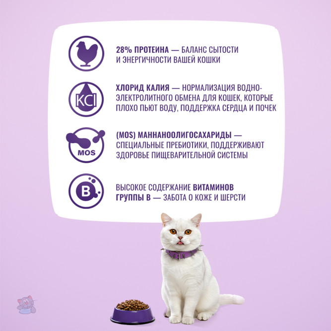 KLATZ! сухой полнорационный корм для взрослых стерилизованных кошек с курицей - 10 кг