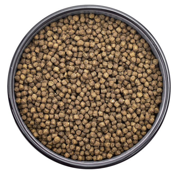 Florida сухой корм для котят с индейкой и клюквой - 800 г