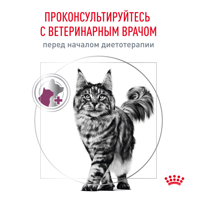 Royal Canin Renal RF23 для взрослых кошек с хронической почечной недостаточностью - 400 г