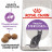 Royal Canin Sterilised 37 сухой корм для взрослых стерилизованных кошек - 4 кг