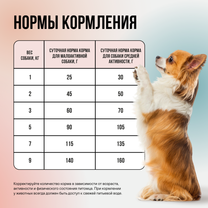 BOWL WOW мини-набор сухих кормов для взрослых собак мелких пород - 150 г х 4 шт: с розмарином - 2 шт, с тыквой - 2 шт