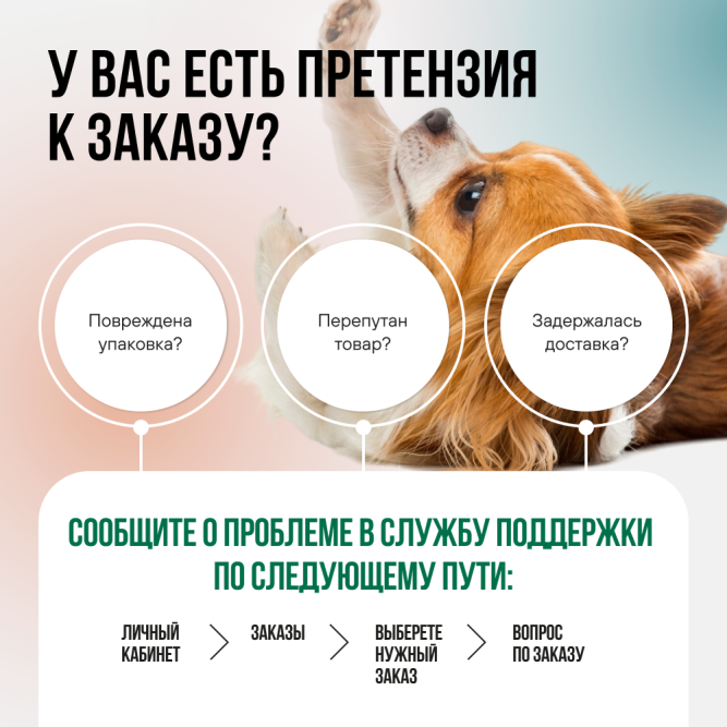 BOWL WOW мини-набор сухих кормов для взрослых собак мелких пород - 150 г х 4 шт: с розмарином - 2 шт, с тыквой - 2 шт