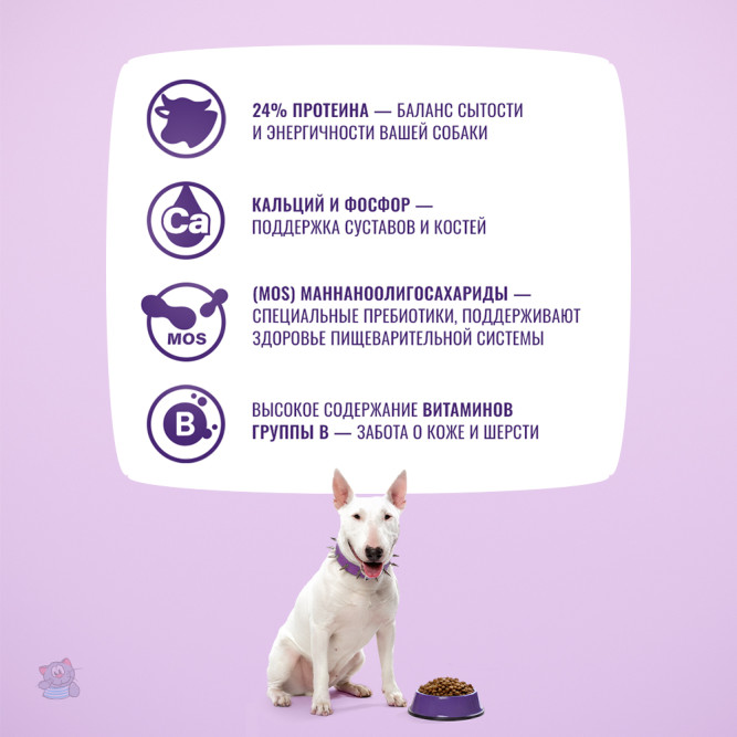 KLATZ! сухой полнорационный корм для взрослых собак крупных пород с говядиной - 10 кг