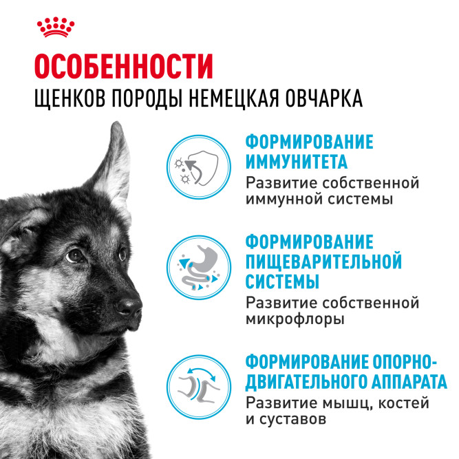 Royal Canin German Shepherd Puppy сухой корм для щенков породы немецкая овчарка до 15 месяцев - 12 кг