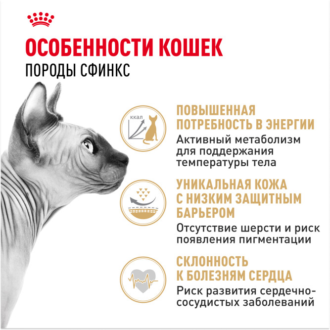 Royal Canin Sphynx сухой корм для взрослых кошек породы сфинкс - 10 кг