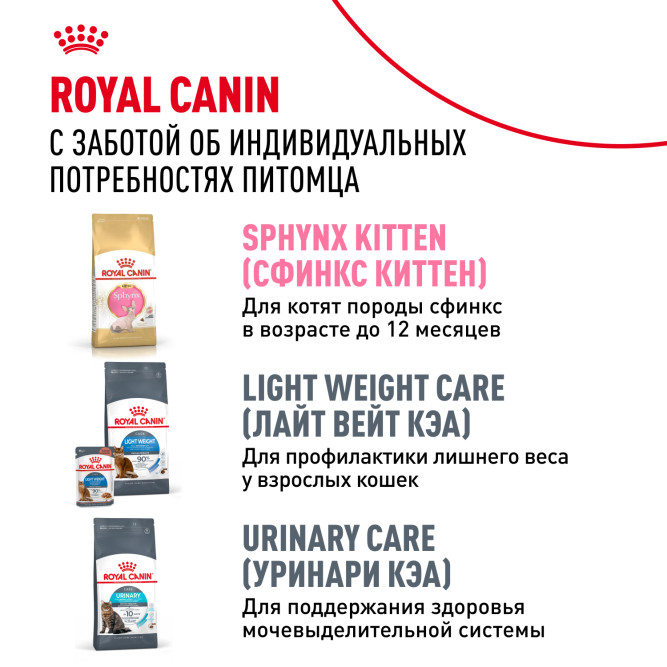 Royal Canin Sphynx сухой корм для взрослых кошек породы сфинкс - 10 кг