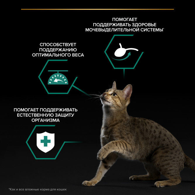 Purina Pro Plan Maintenance Sterilised влажный корм для взрослых стерилизованных кошек, кусочки с говядиной в желе, в паучах - 85 г х 26 шт