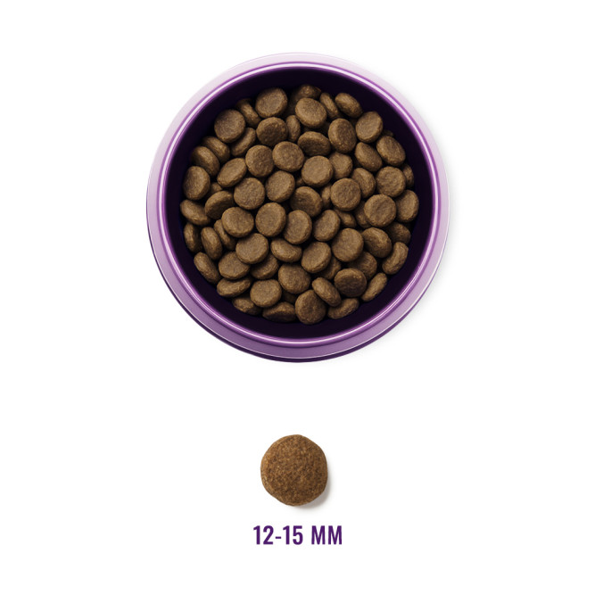 KLATZ! сухой полнорационный корм для взрослых собак крупных пород с индейкой - 10 кг