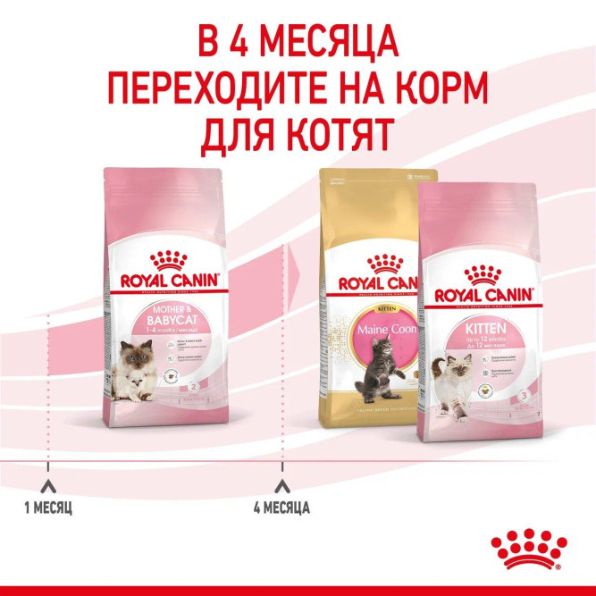 Royal Canin Mother &amp; Babycat сухой корм с птицей для котят в возрасте от 1 до 4 месяцев, для кошек в период беременности и лактации - 2 кг