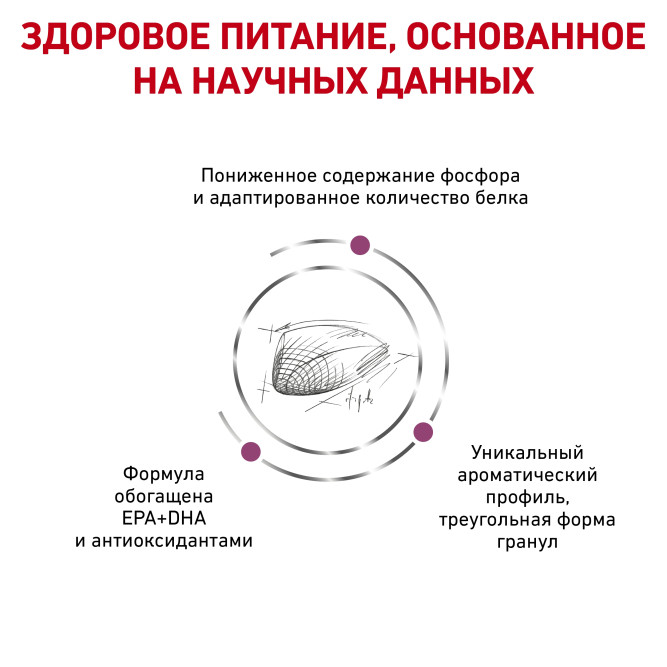 Royal Canin Renal Special сухой корм для взрослых кошек с хронической почечной недостаточностью - 400 г