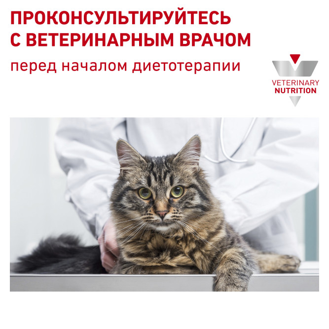 Royal Canin Renal Special сухой корм для взрослых кошек с хронической почечной недостаточностью - 400 г