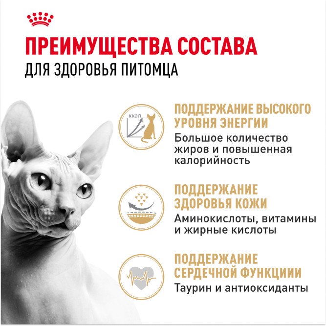 Royal Canin Sphynx сухой корм для взрослых кошек породы сфинкс - 2 кг