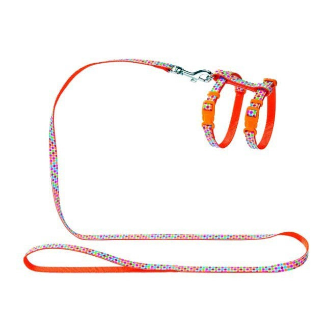 Hunter Smart шлейка для кошек и собак Seventies нейлон оранжевая