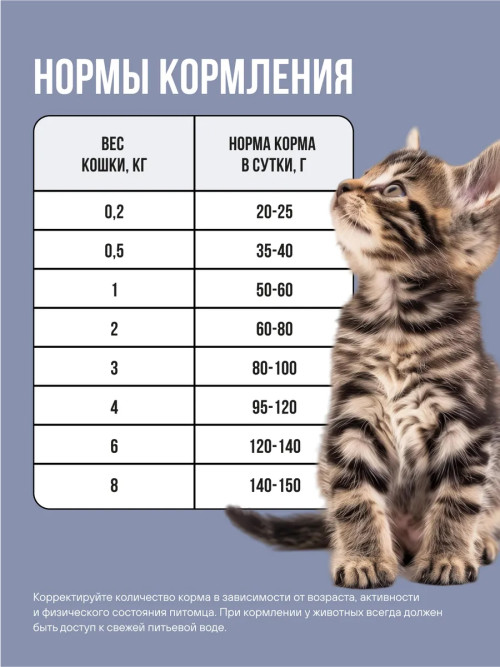 BOWL WOW сухой корм для котят с индейкой, курицей и черникой - 4 кг