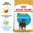 Royal Canin Rottweiler Puppy для щенков Ротвейлера до 18 месяцев - 12 кг