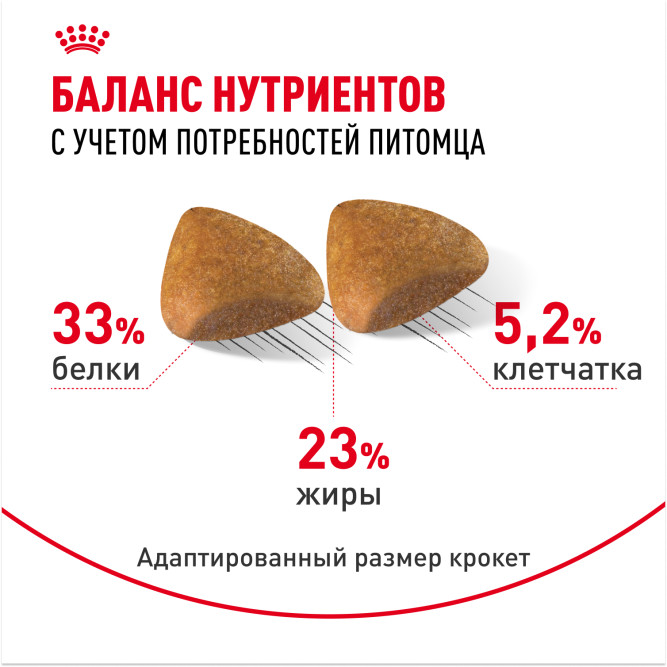 Royal Canin Sphynx сухой корм для взрослых кошек породы сфинкс - 400 г