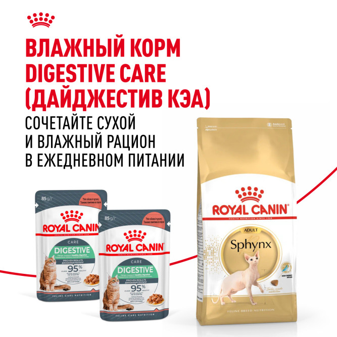 Royal Canin Sphynx сухой корм для взрослых кошек породы сфинкс - 400 г