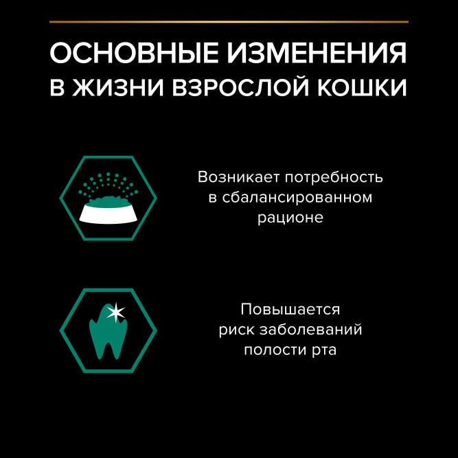 Purina Pro Plan Maintenance влажный корм для взрослых кошек, кусочки с говядиной в соусе, в паучах - 85 г х 26 шт