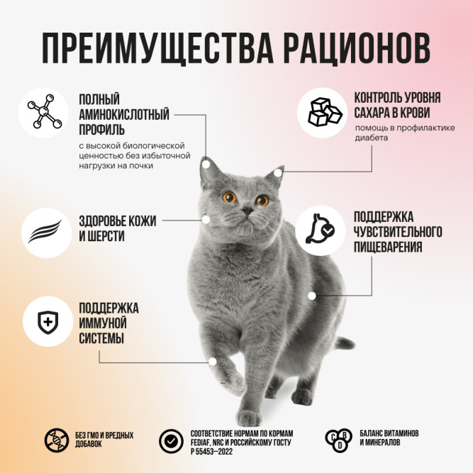 BOWL WOW мини-набор сухих кормов для взрослых кошек с чувствительным пищеварением - 100 г х 4 шт: с яблоком - 2 шт; и тыквой - 2 шт