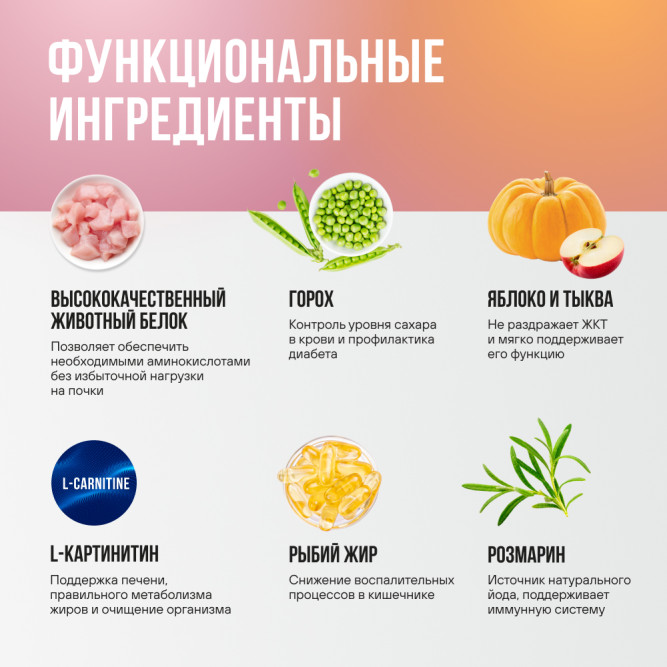 BOWL WOW мини-набор сухих кормов для взрослых кошек с чувствительным пищеварением - 100 г х 4 шт: с яблоком - 2 шт; и тыквой - 2 шт