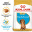 Royal Canin Dachshund Puppy полнорационный корм с птицей для щенков породы такса в возрасте до 10 месяцев - 1,5 кг