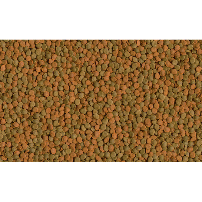 Tetra WaferMix корм в виде чипсов для всех донных рыб - 15 г (саше)