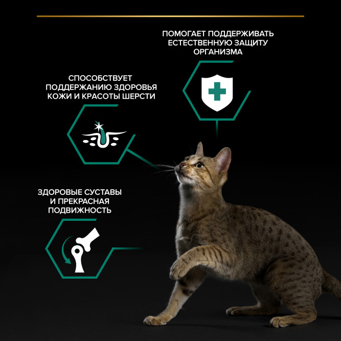 Purina Pro Plan Maintenance влажный корм для взрослых кошек, кусочки с курицей в соусе, в паучах - 85 г х 26 шт