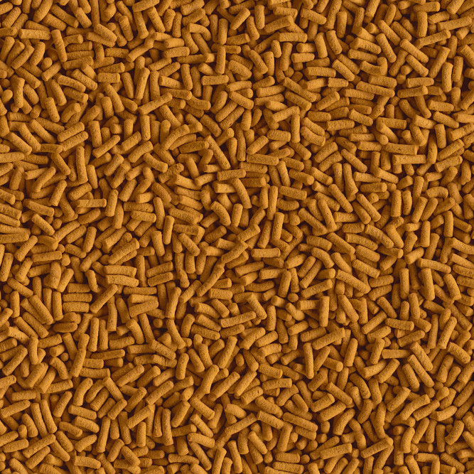 TetraCichlid Sticks корм для всех видов цихлид в палочках 250 мл