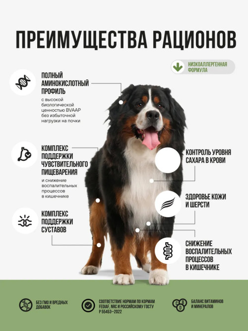 BOWL WOW сухой корм для взрослых собак крупных пород с ягненком, индейкой, рисом и цукини - 5 кг