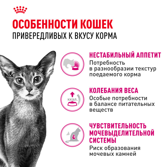 Royal Canin Savour Exigent сухой корм для взрослых привередливых кошек - 4 кг