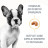 Royal Canin French Bulldog Puppy сухой корм для щенков породы французский бульдог в возрасте до 12 месяцев - 3 кг