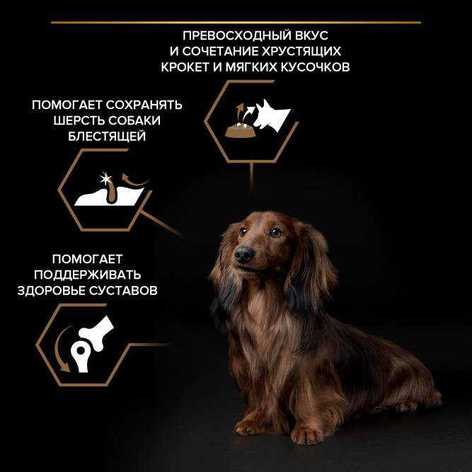 Pro Plan Adult Duo Delice сухой корм для взрослых собак мелких и карликовых пород с двойной текстурой гранул, с говядиной - 700 г