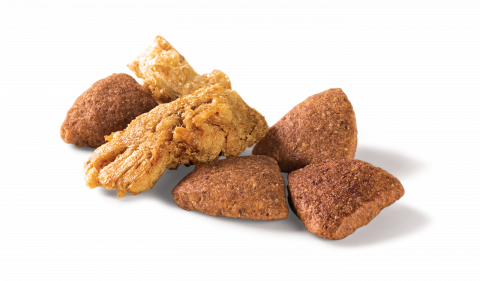 Purina Pro Plan Duo Delice сухой корм для взрослых собак крупных пород с лососем и рисом - 10 кг