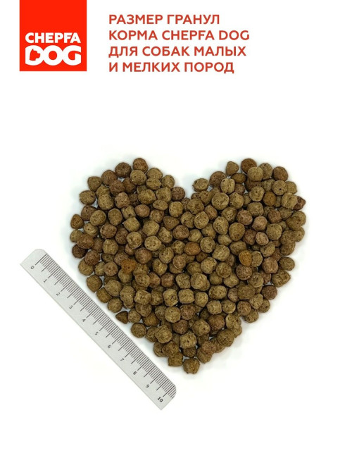 ZOOFOOD полнорационный сухой корм для собак мелких пород с ягненком, говядиной и морковью - 700 г