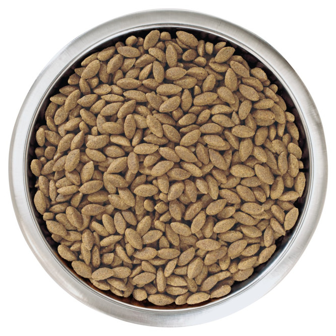 Purina Pro Plan Medium &amp; Large Adult 7+ cухой корм для взрослых собак средних и крупных пород старше 7 лет с лососем и рисом - 3 кг