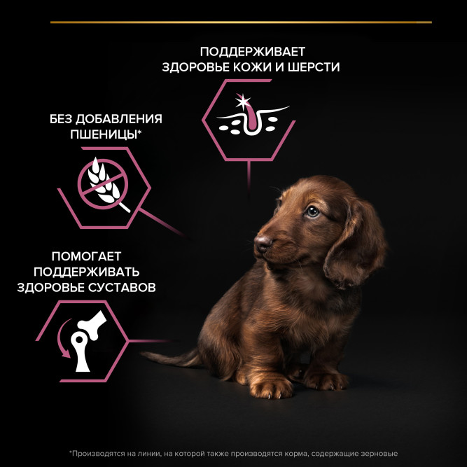 Pro Plan Opti Derma Small Mini сухой корм для щенков мелких и карликовых пород при чувствительной коже с лососем - 700 г