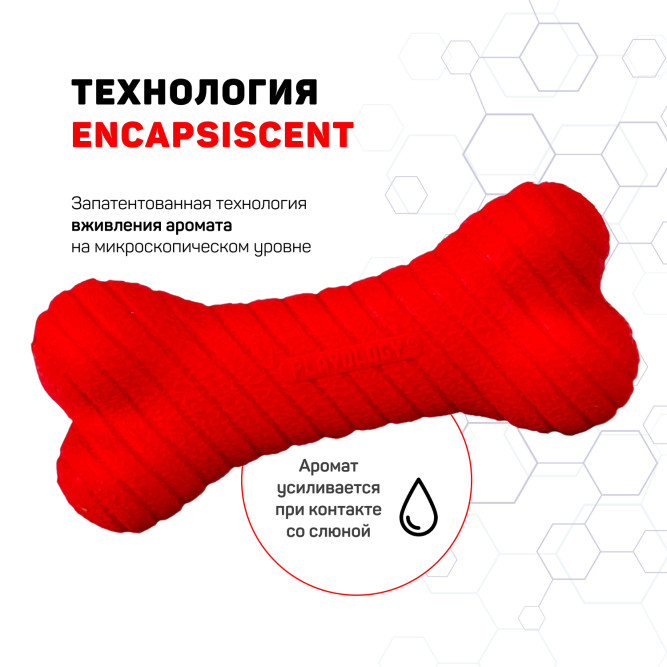 Playology DUAL LAYER BONE двухслойная жевательная косточка для собак мелких пород с ароматом говядины, маленькая, красная